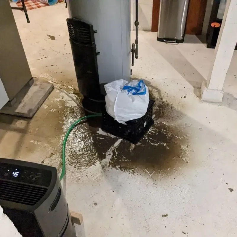 Sewage Backup Cleanup Service in Hartley, IA